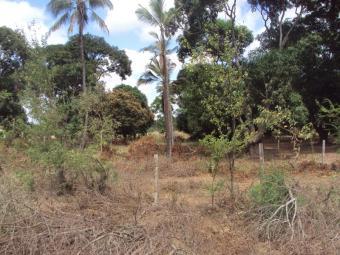 4 acres at mtwapa behind KARI pr Mombasa