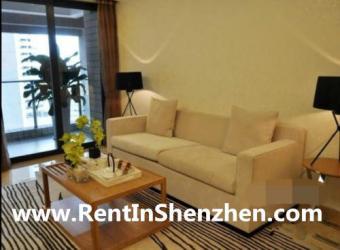 Shenzhen apartment,Luohu CBD,MIX Shenzhen