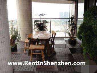 Shenzhen Apartment FuTian CBD/5m Shenzhen