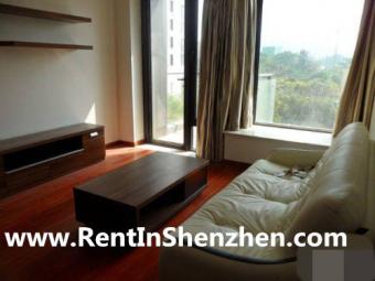 Near Starbucks,Shenzhen apartmen Shenzhen
