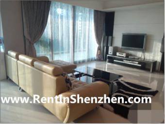 Shenzhen Apartment Rent/NanShan, Shenzhen