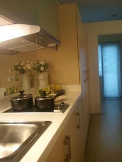 26SQM CONDO- GRASS SM NORTH Quezon City