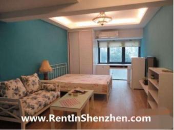 Shenzhen LuoHu CBD Apartment ren Shenzhen
