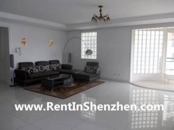 OCT new building/Portofino/3BR 2 Shenzhen