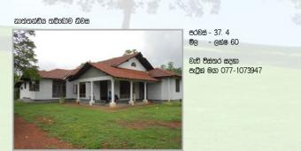 Nathandia Thabbowa House Nathandia