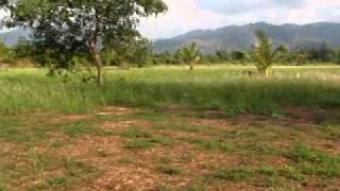 land for sell Khao Lak