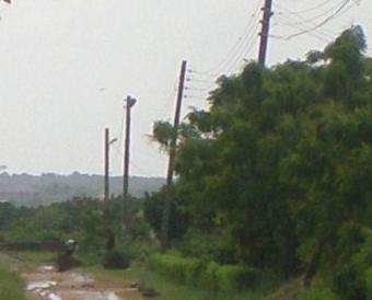 Executive plots of land for sale Accra