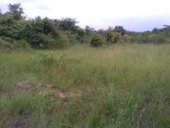 EBENEZER CONSULT. AND CONST. WKS Accra