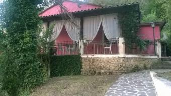 Business Morino Morino