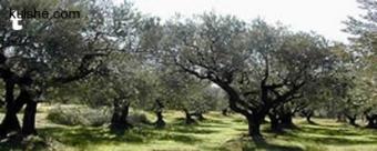 Plot of land sousse Sousse