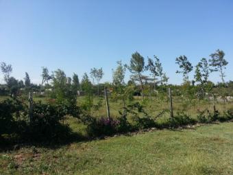 Plot of land Nairobi Nairobi