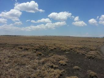 Plot of land Nairobi Nairobi
