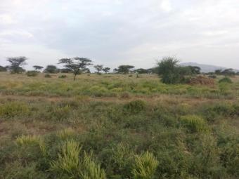 Plot of land Nairobi Nairobi
