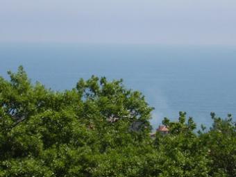 PLOT OF LAND FOR SALE Varna