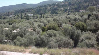 Plot of land Lefkada Lefkada
