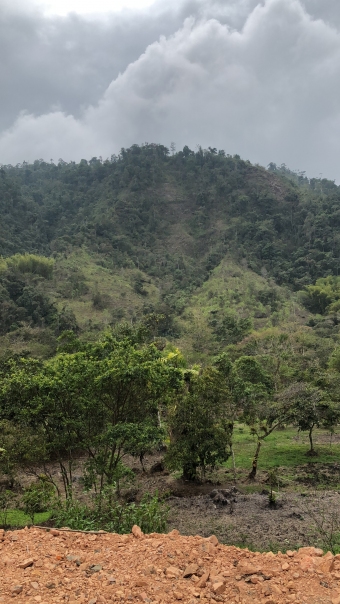 Plot of land Mindo Mindo