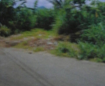 Plot of land Castries Castries