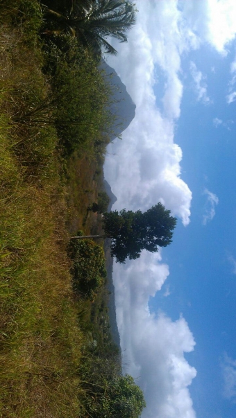 Plot of land Choiseul Choiseul