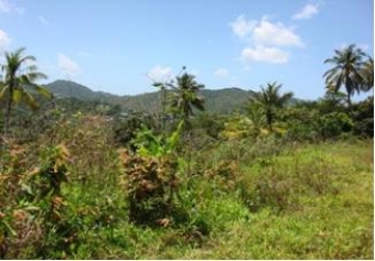 Plot of land Castries Babonneau