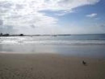 7 Acres Land Teluk Bahang Penang George Town