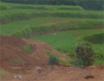 PLOT FOR SALE IN OOTY Chennai