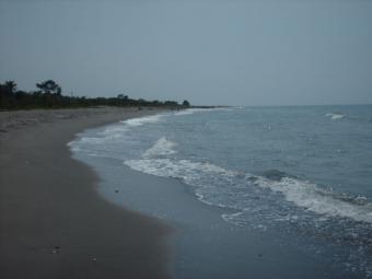 Beach Front Lots For Sale La Ceiba