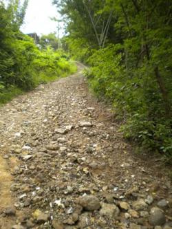 Land for sale in Bois D`Orange Gros Islet