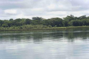 Land for sale in Lake Peten Itza Shore Of Lake Peten Itzaflores