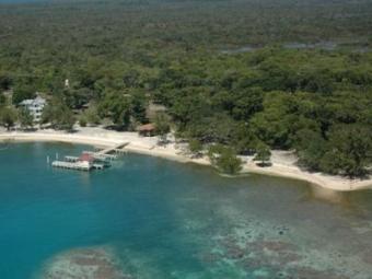 3 Beachfront Lots - SW Reef Utila