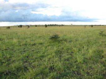 Land 4 Sale in Isinya/ Kitengela Kitengela