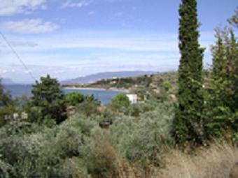 land for sale in sadova messinia Messinia