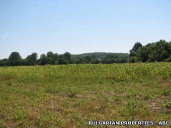 Land in Elhovo area. Elhovo Area