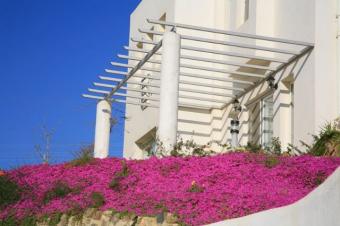 MYNDOS HILLS BODRUM TURKEY Bodrum