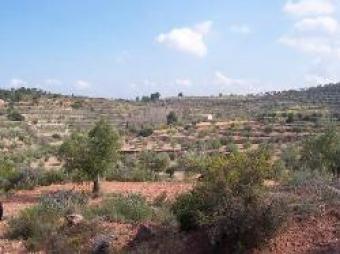 8000m2 of land stunning views Alicante