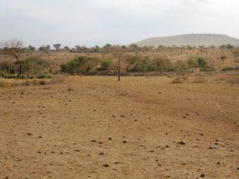 36-acres KIBARANI Kibarani