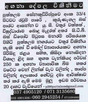 Puttalam Business  Land 255p Puttalam