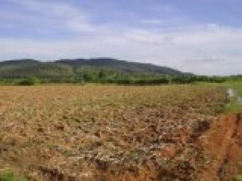 goldentriangle riverside land Ban Mai Chiangrai