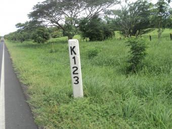 Great Farm in Pan Amarican Road Rivas