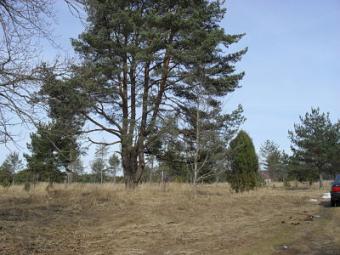 Building plot sale Ventspils