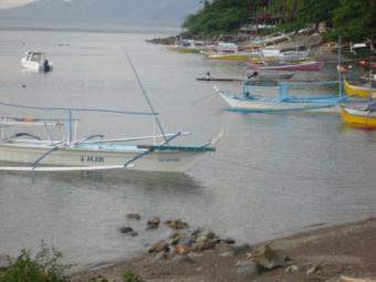Lot in Mabini,Batangas ideal for Batangas