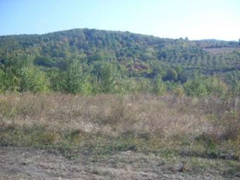 BUILDING LAND FOR SALE! Slavonski Brod