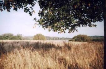 An atractive plots of land Nidzica
