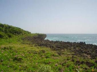 Magnificent ocean front lot Cabrera