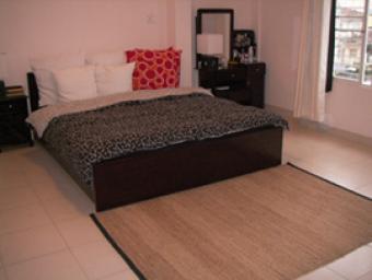 Apt for rent Hcmc