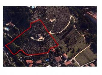 IN FRONT OF THE SEA Pietrasanta