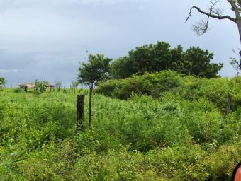 !!!Sale of Land in Belen TownShi Belen, Rivas