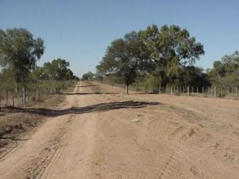 30.000 Has en Chaco Paraguayo Colonia Defensores Del Chaco