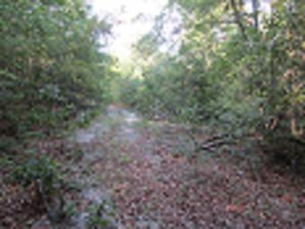 Land for Sale in Millen, Georgia Millen