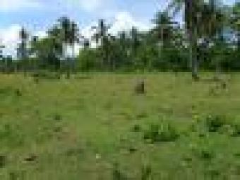 Limao Res. Lots w/ Common Beach Davao