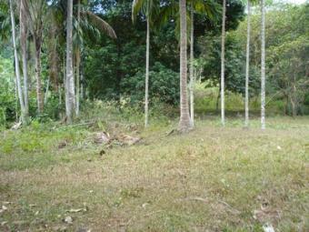 Flat Land Close to Beach Ko Lanta Yai